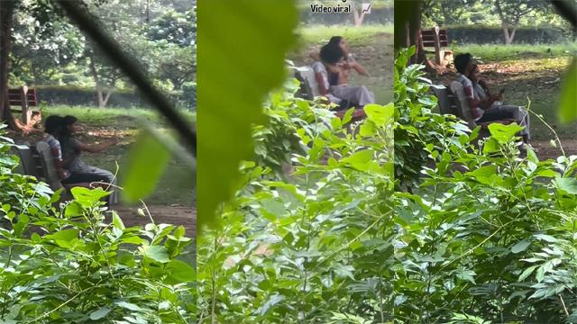 Delhi Teen Couple In Park Viral Xx Video – Sex Videos